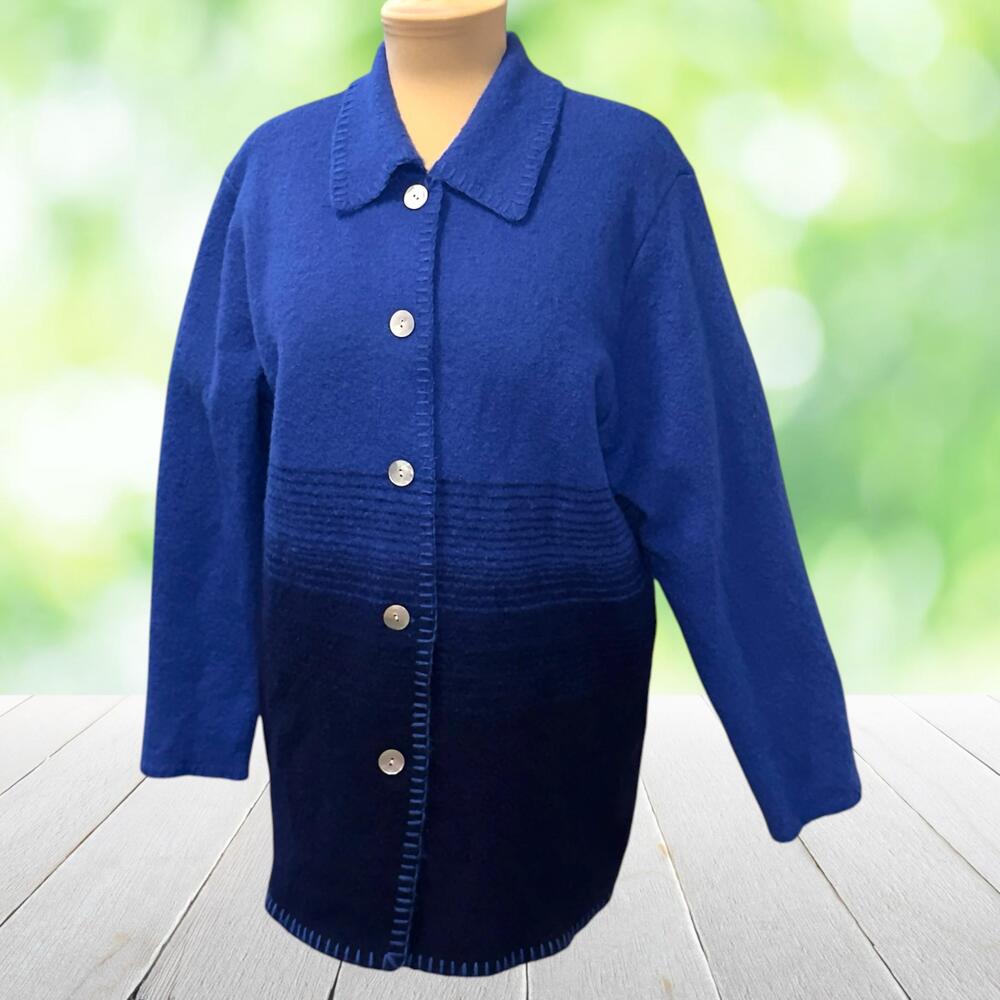 Vtg LISA INT'L Boiled Wool Jacket Ombre Stripe Blanket Stitch Shell Buttons Sz M